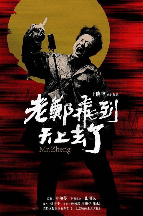 购买假花旗银行对账单